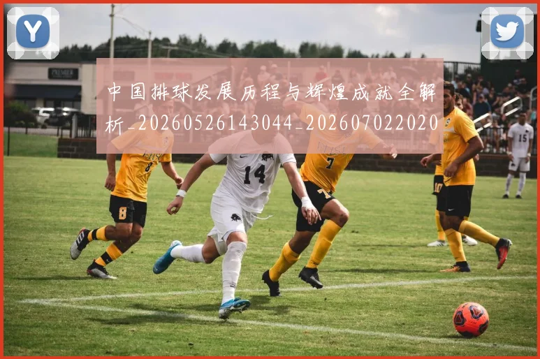 中国排球发展历程与辉煌成就全解析_20260526143044_20260702202046