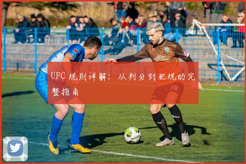 UFC 规则详解：从判分到犯规的完整指南