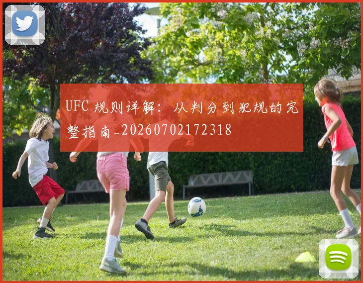 UFC 规则详解：从判分到犯规的完整指南_20260702172318